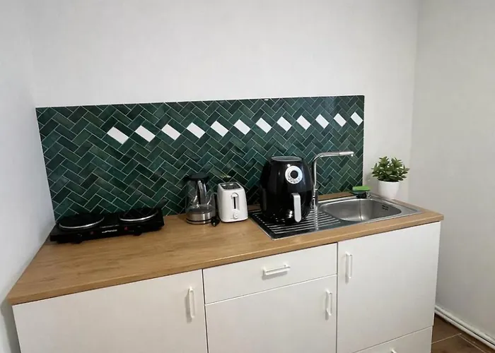 Apartamento Ehrenbreitstein Perfect For Workers & Groups Coblenza